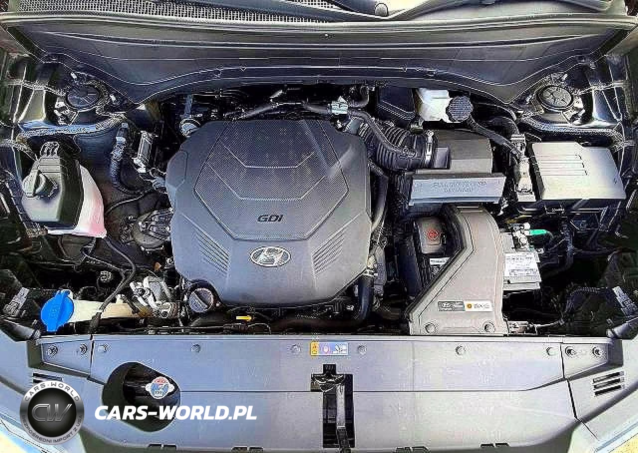 2023 Hyundai Palisade Calligraphy VIN:KM8R7DGE9PU505495 - 14