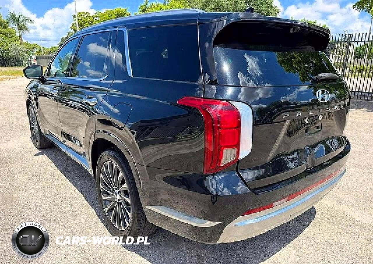 2023 Hyundai Palisade Calligraphy VIN:KM8R7DGE9PU505495 - 2