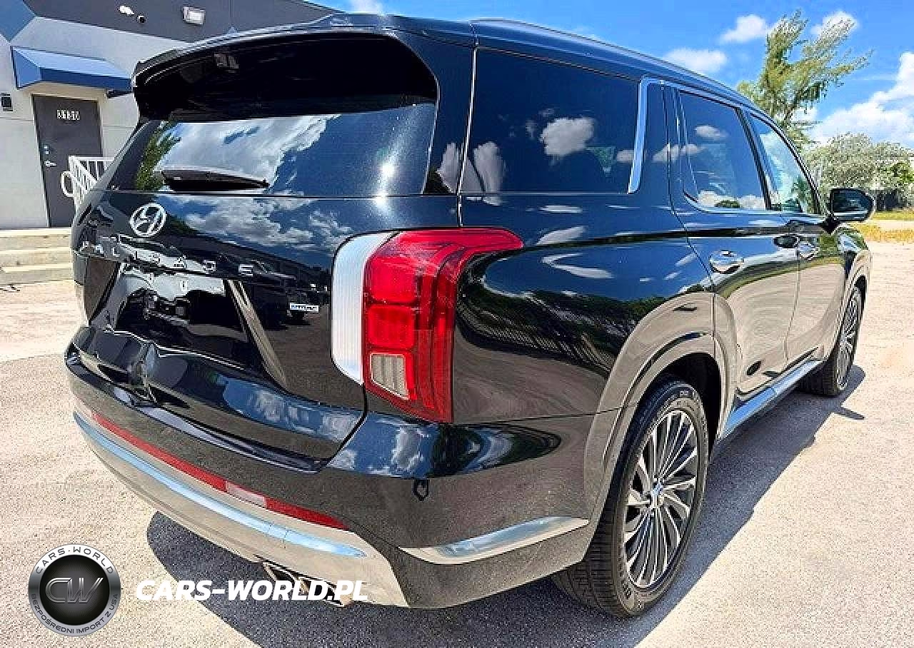 2023 Hyundai Palisade Calligraphy VIN:KM8R7DGE9PU505495 - 3