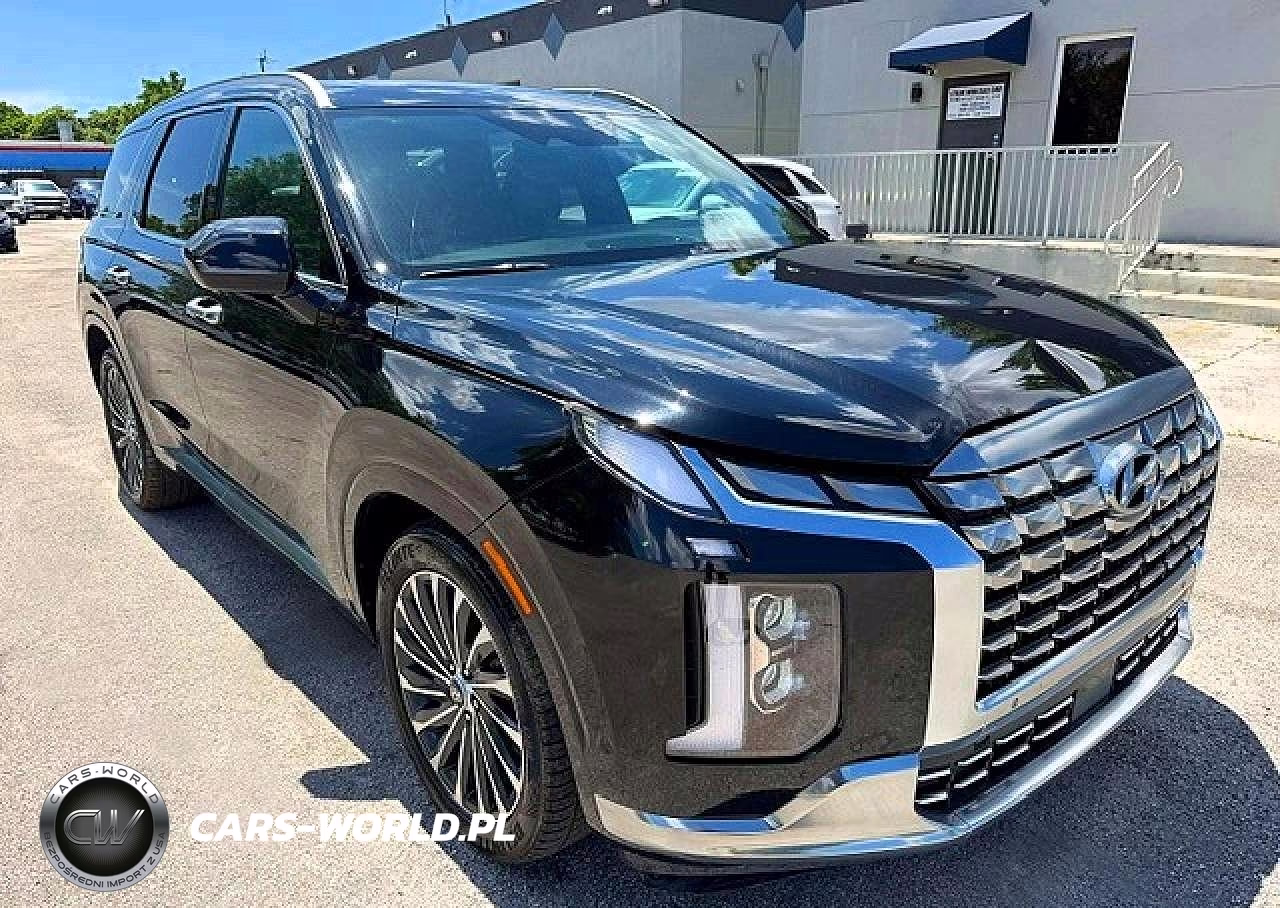 2023 Hyundai Palisade Calligraphy VIN:KM8R7DGE9PU505495 - 4