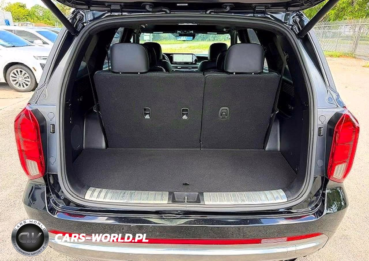 2023 Hyundai Palisade Calligraphy VIN:KM8R7DGE9PU505495 - 6