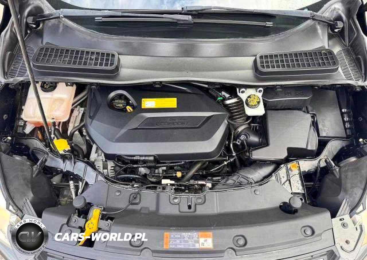 2016 Ford Escape Se VIN:1FMCU0GX4GUC35892 - 14