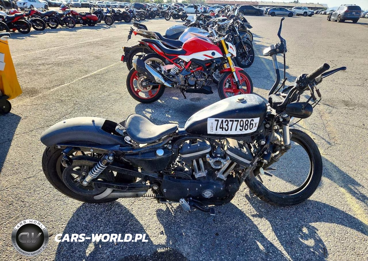 2009 Harley-Davidson Xl883 N – zdjęcie 1 z 8