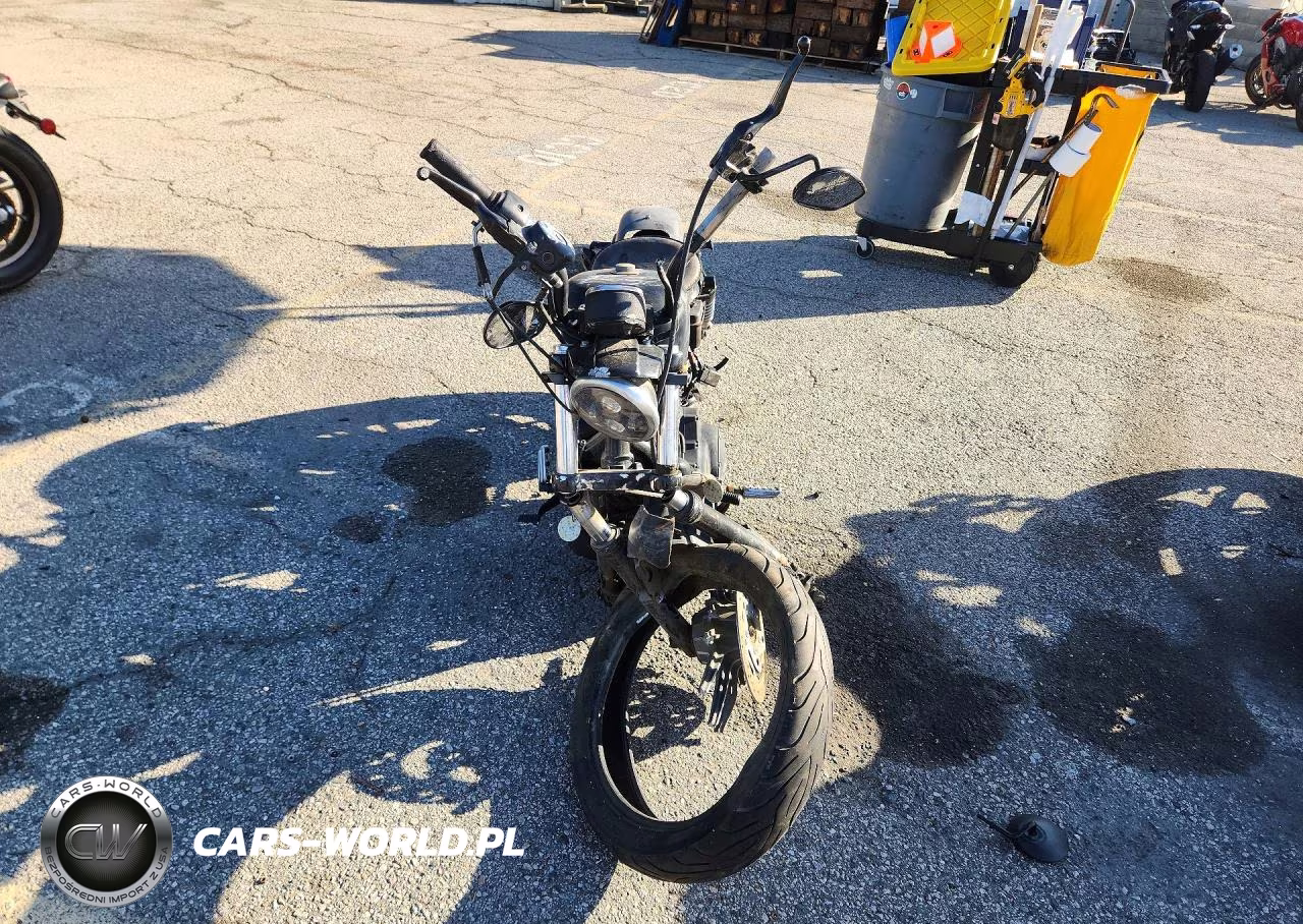 2009 Harley-Davidson Xl883 N VIN:1HD4LE25X9K462807 - 2