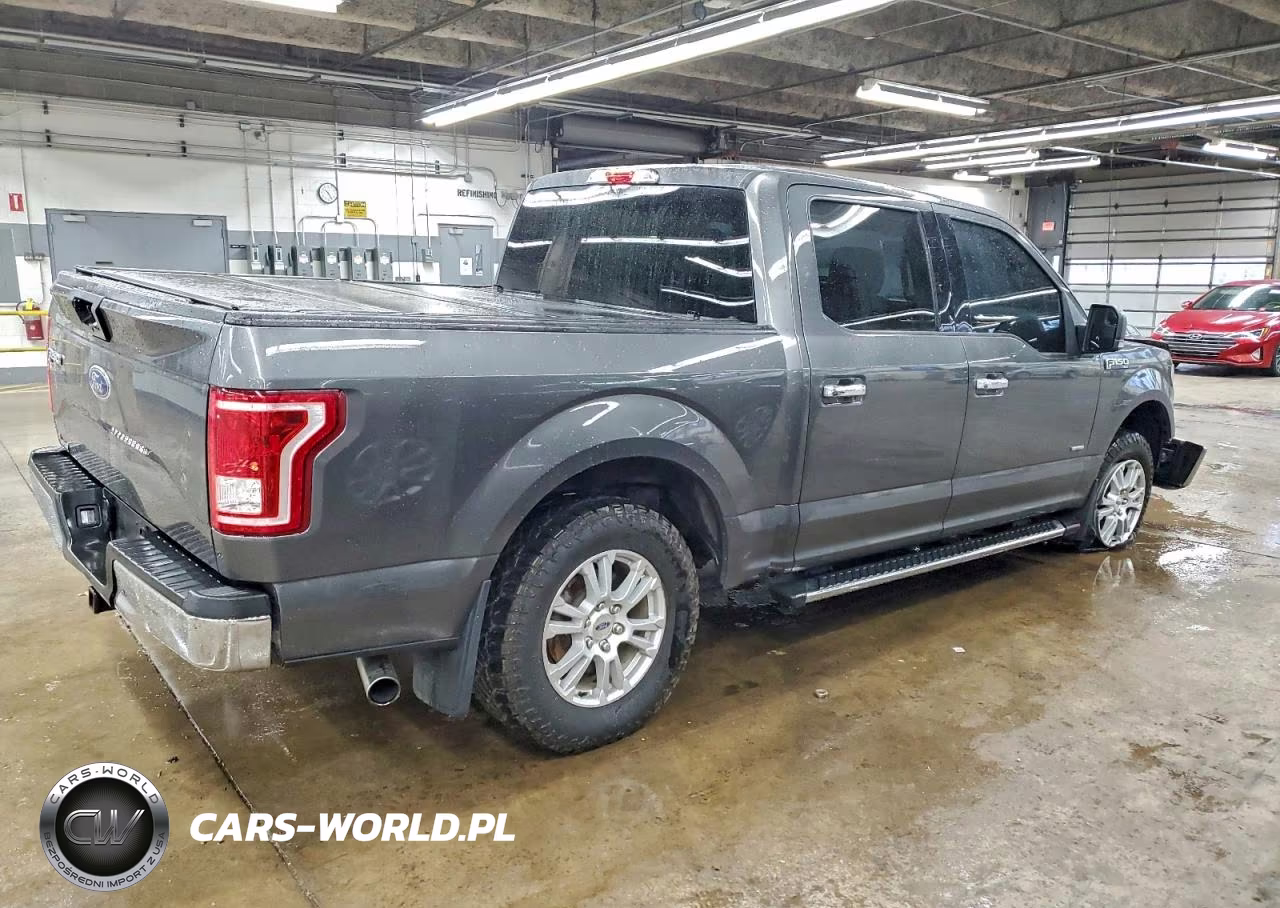 2015 Ford F150 Supercrew VIN:1FTEW1EPXFFB43933 - 3