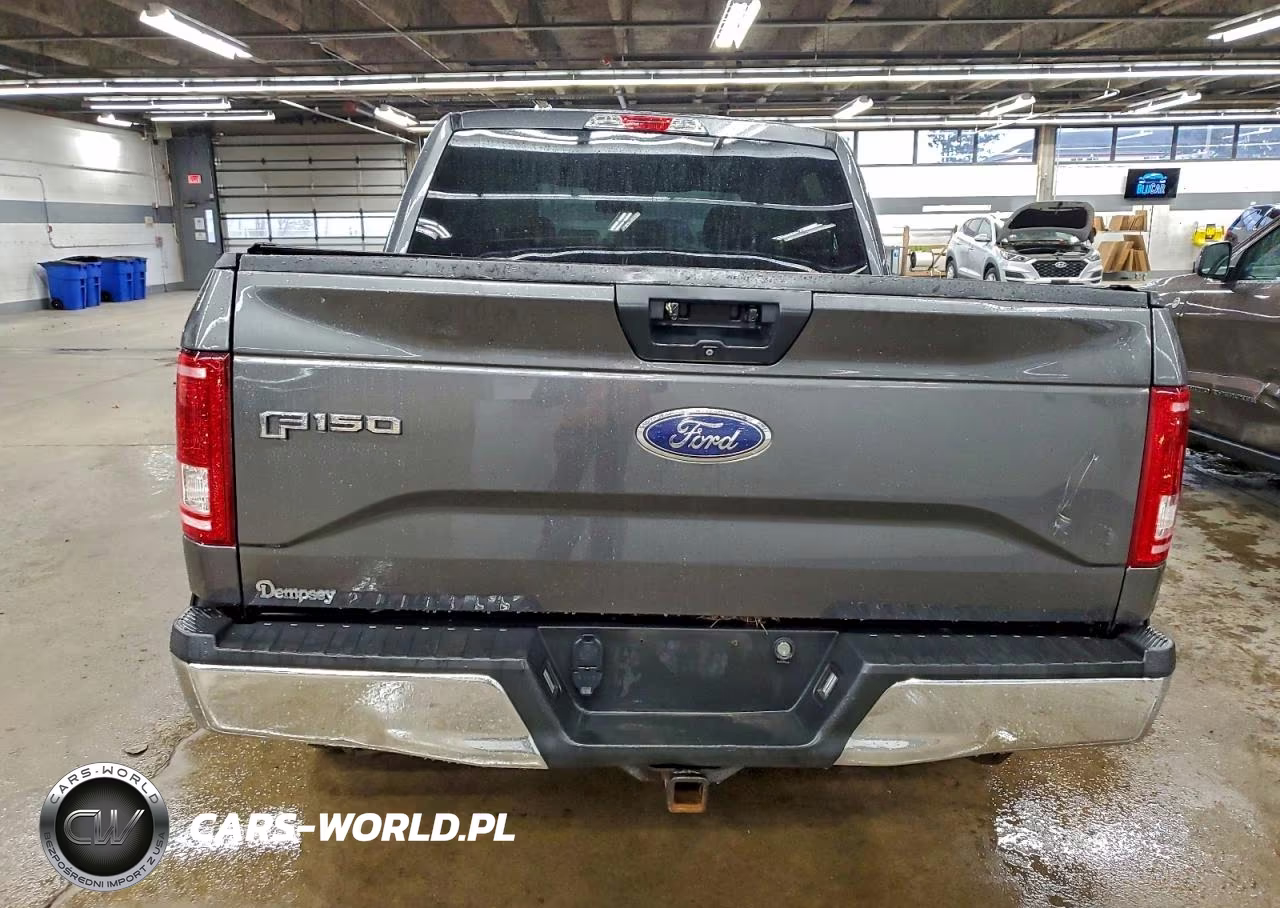 2015 Ford F150 Supercrew VIN:1FTEW1EPXFFB43933 - 6