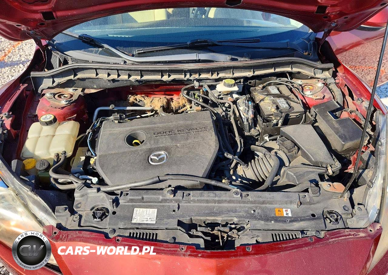 2010 Mazda 3 I VIN:JM1BL1SF2A1159637 - 11