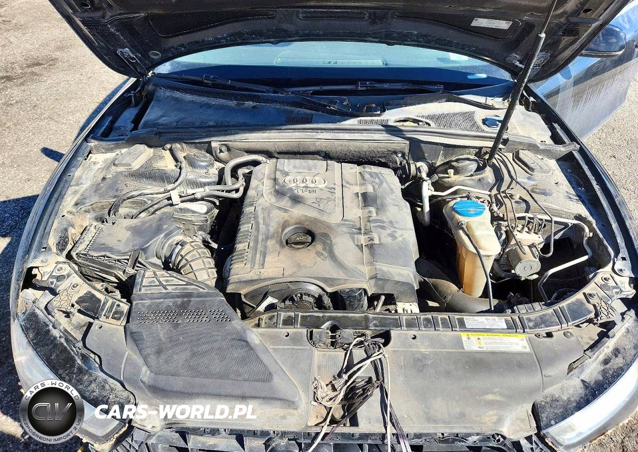 2013 Audi A5 Premium VIN:WAUCFAFR6DA018510 - 11