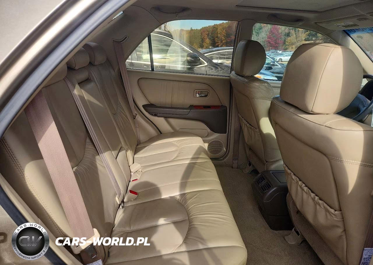 2001 Lexus Rx 300 VIN:JTJGF10U910113255 - 10