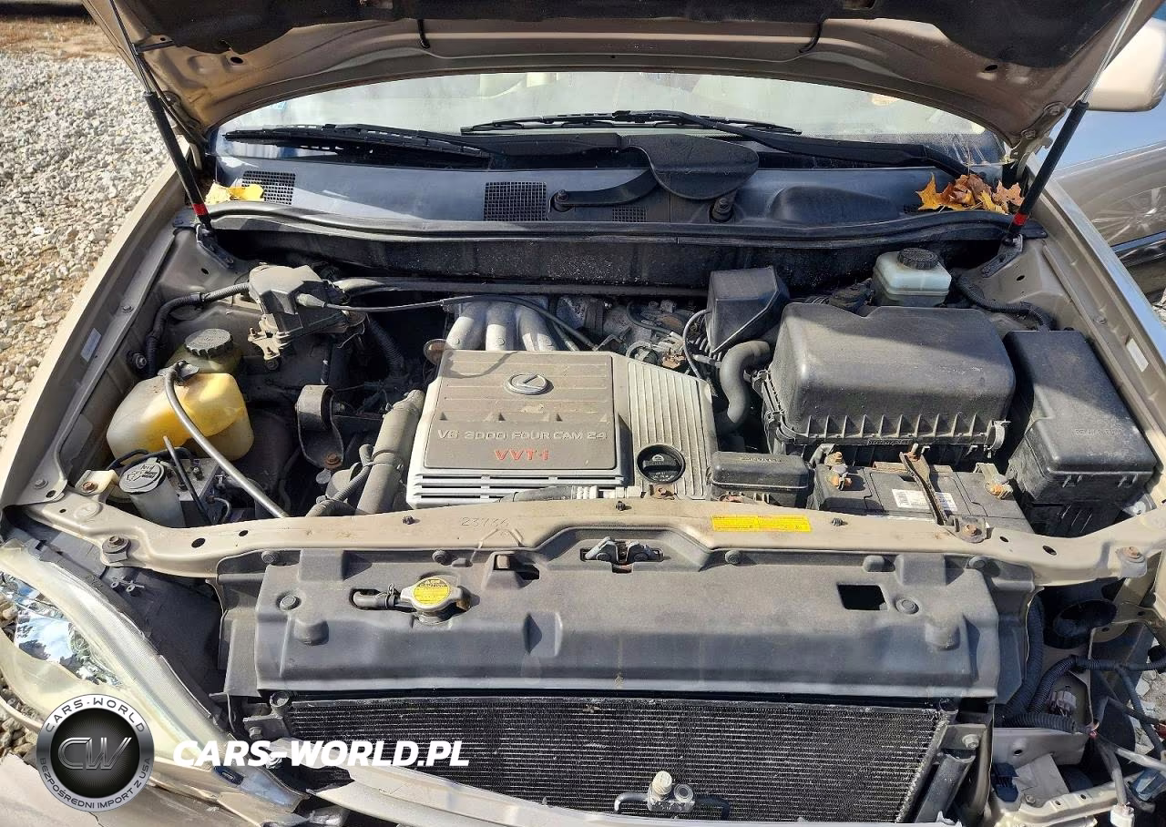 2001 Lexus Rx 300 VIN:JTJGF10U910113255 - 11