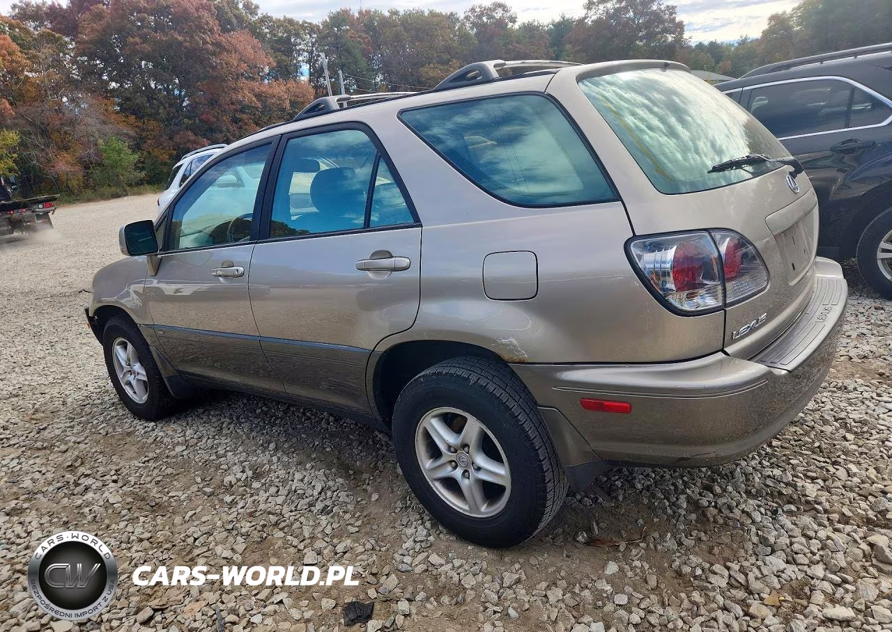 2001 Lexus Rx 300 VIN:JTJGF10U910113255 - 2