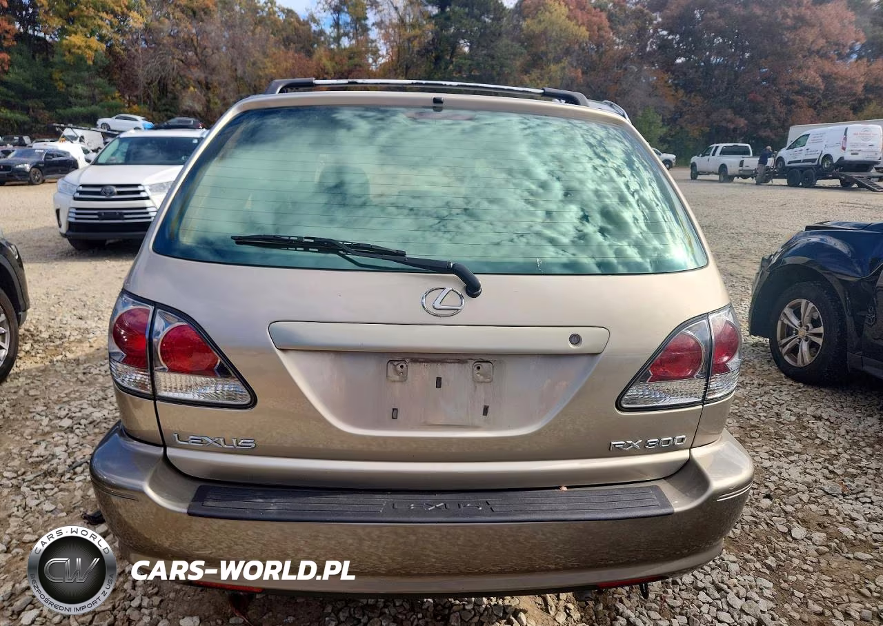 2001 Lexus Rx 300 VIN:JTJGF10U910113255 - 6