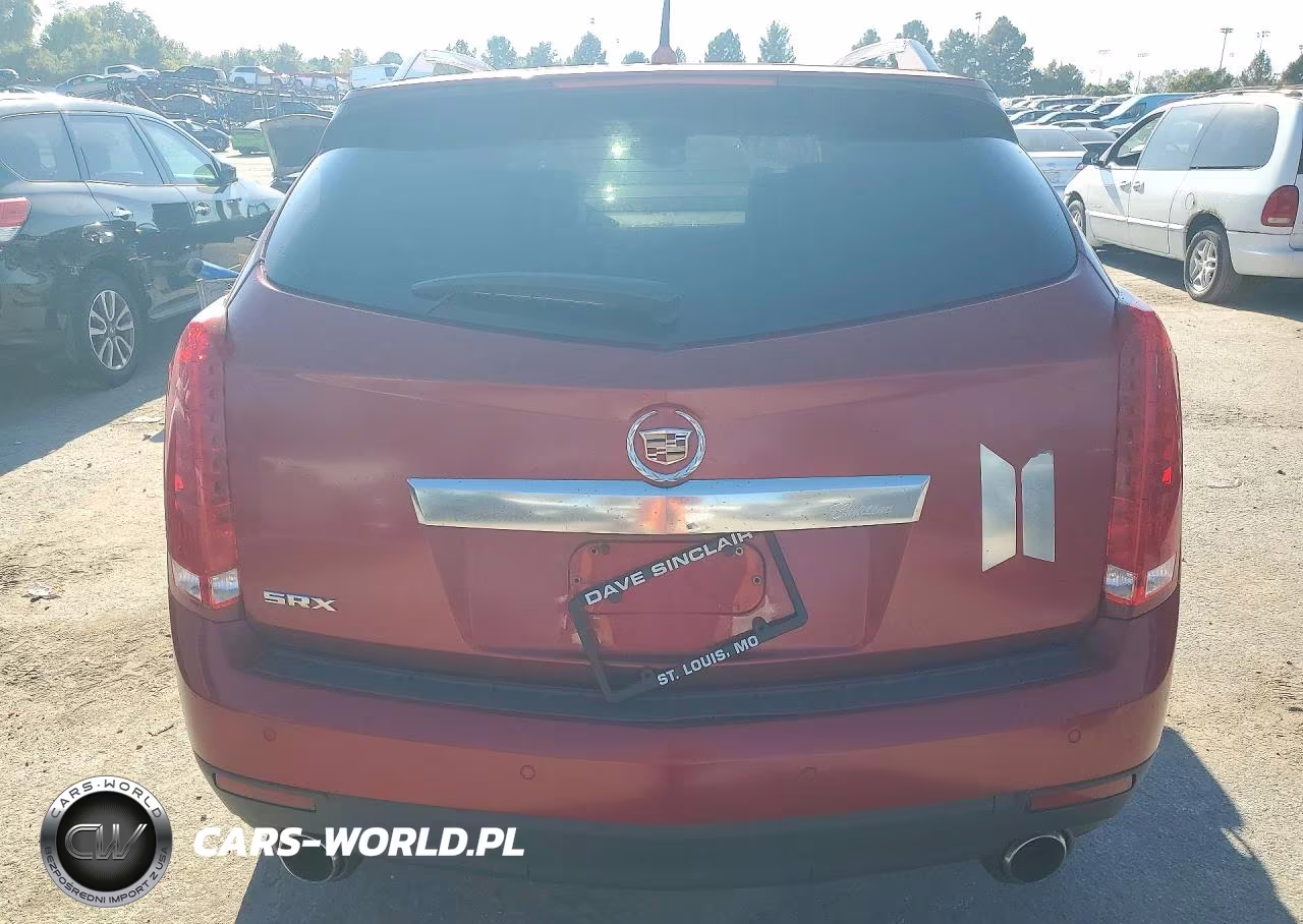 2010 Cadillac Srx Luxury Collection VIN:3GYFNAEY5AS579605 - 6