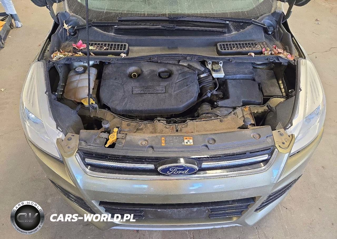 2013 Ford Escape Sel VIN:1FMCU9H94DUA73603 - 12