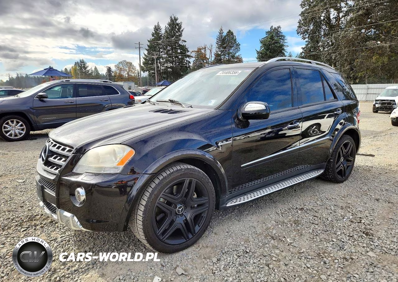 2009 Mercedes-Benz Ml 63 Amg