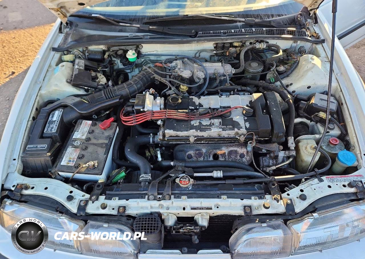 1993 Acura Integra Ls VIN:JH4DB1651PS003264 - 11