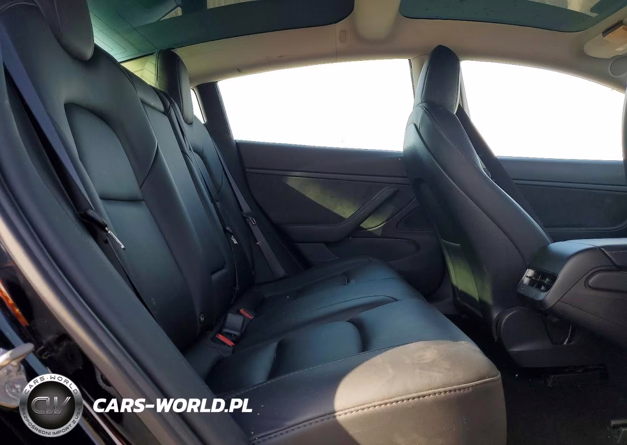2020 Tesla Model 3 VIN:5YJ3E1EB2LF786839 - 10