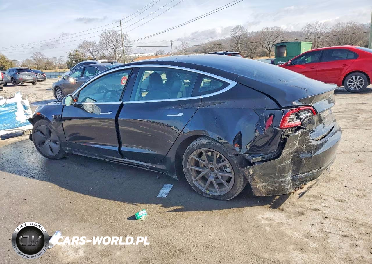2020 Tesla Model 3 VIN:5YJ3E1EB2LF786839 - 2