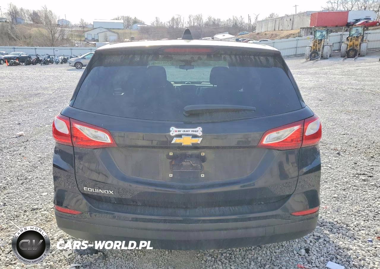 2020 Chevrolet Equinox Ls VIN:3GNAXHEV3LS503772 - 6
