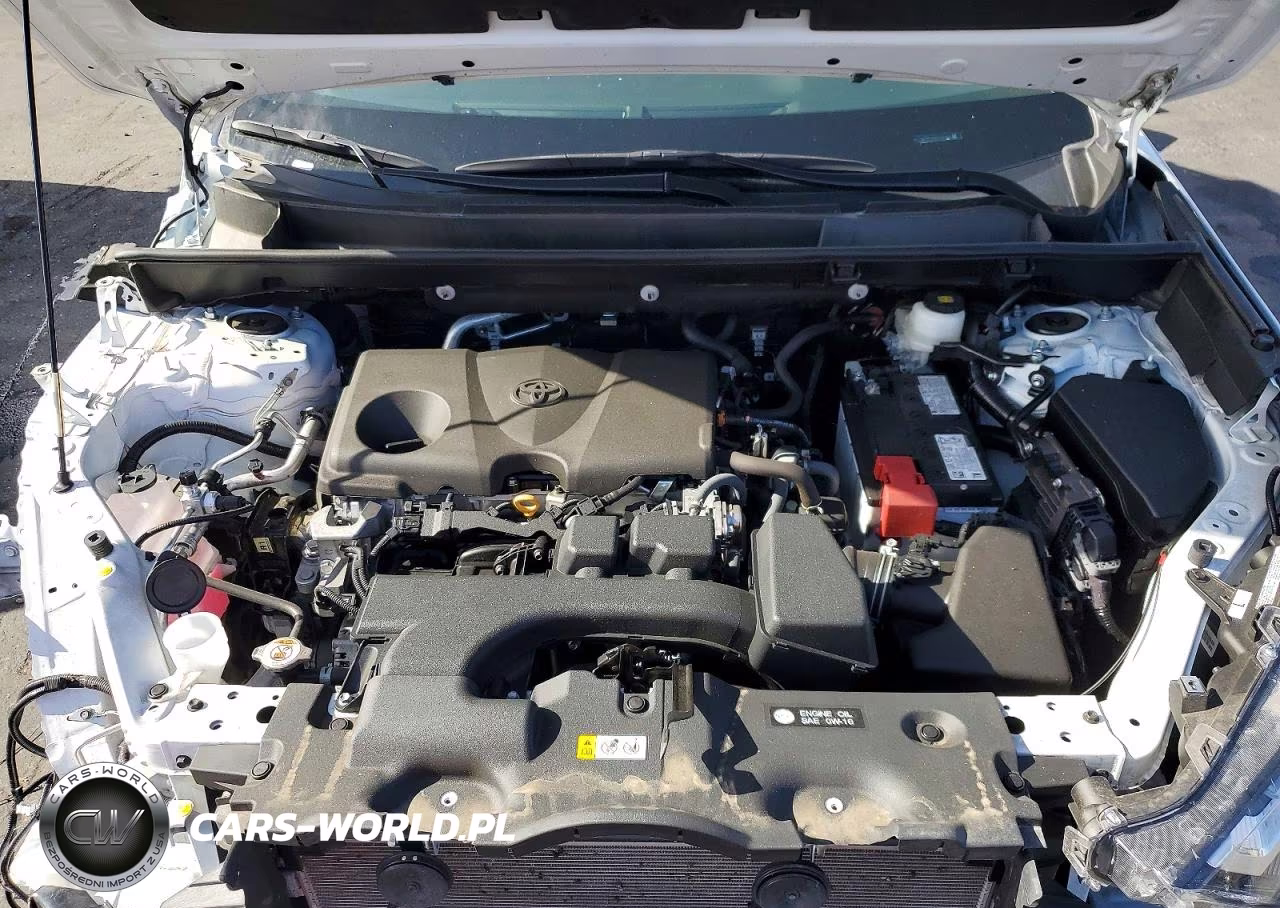 2024 Toyota Rav4 Xle VIN:2T3W1RFV2RC290458 - 12