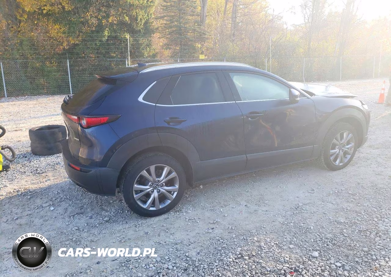 2021 Mazda Cx-30 Premium VIN:3MVDMBDL4MM202766 - 3