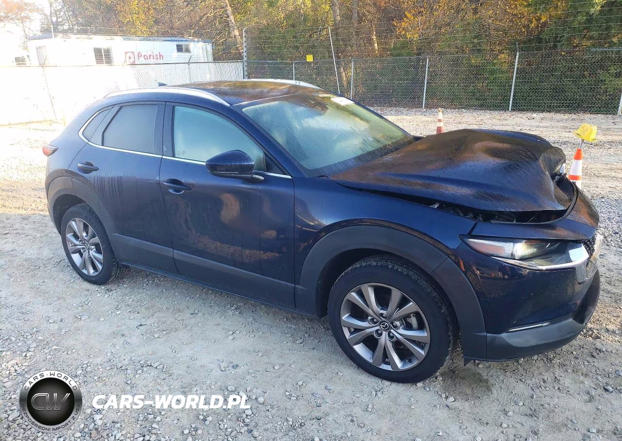 2021 Mazda Cx-30 Premium VIN:3MVDMBDL4MM202766 - 4