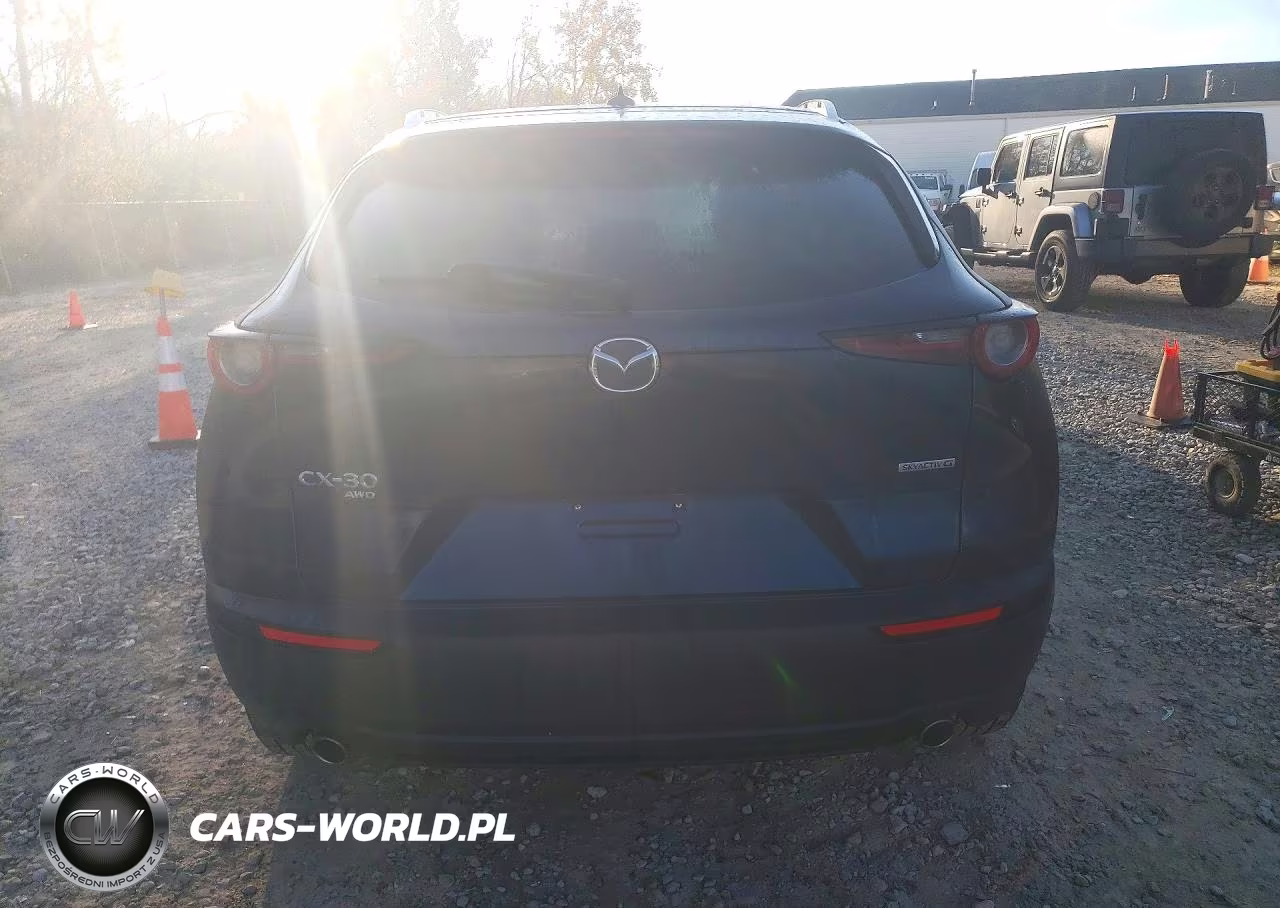 2021 Mazda Cx-30 Premium VIN:3MVDMBDL4MM202766 - 6