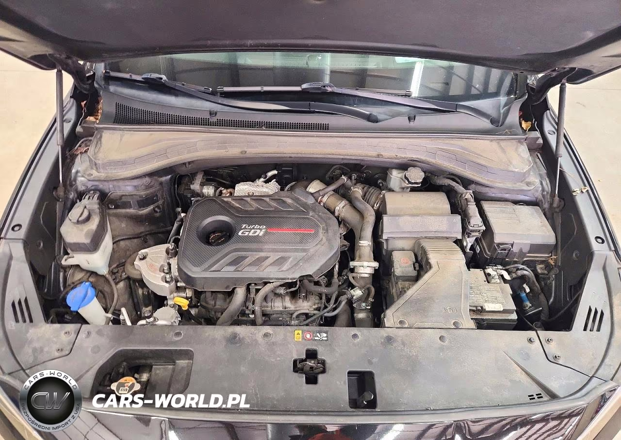2019 Hyundai Santa Fe Ultimate 2.0T VIN:5NMS5CAA5KH120785 - 12