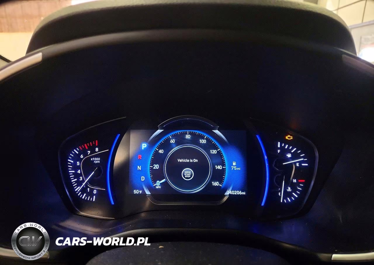 2019 Hyundai Santa Fe Ultimate 2.0T VIN:5NMS5CAA5KH120785 - 9