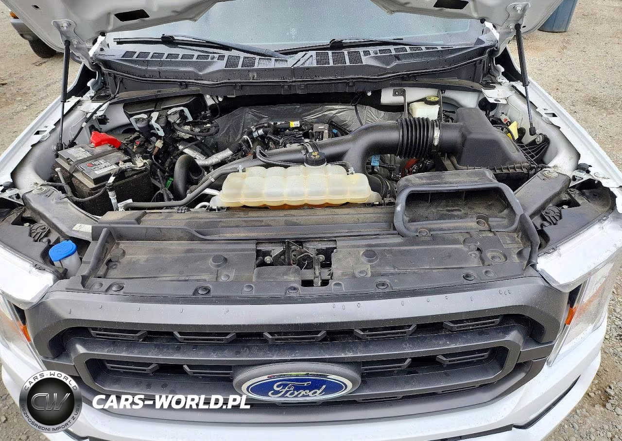 2022 Ford F150 Supercrew VIN:1FTEW1EP6NKE09096 - 11