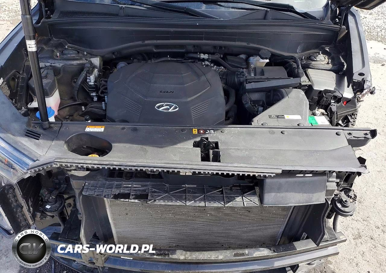 2021 Hyundai Palisade Sel VIN:KM8R44HE9MU317000 - 12