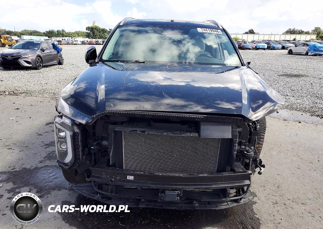 2021 Hyundai Palisade Sel VIN:KM8R44HE9MU317000 - 5
