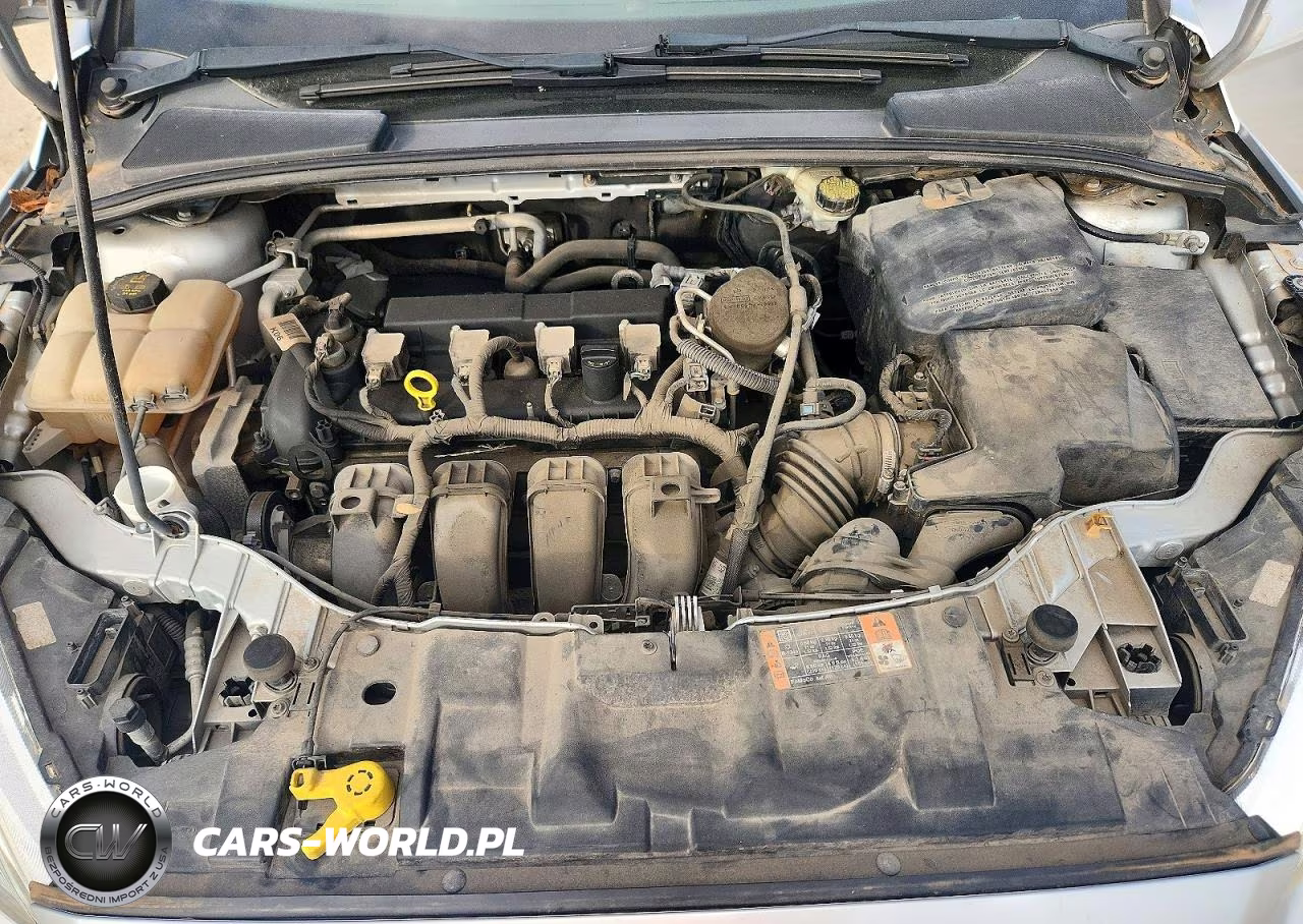 2016 Ford Focus Se VIN:1FADP3K20GL222422 - 11