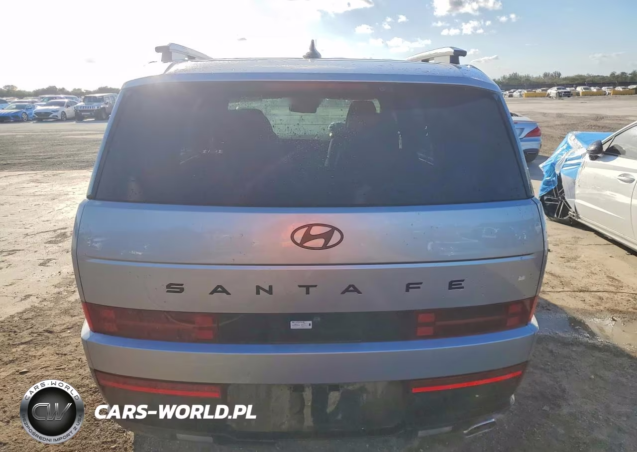 2024 Hyundai Santa Fe Calligraphy VIN:5NMP54GLXRH052935 - 6