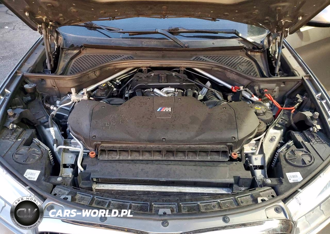 2017 BMW X6 M VIN:5YMKW8C59H0R43925 - 12