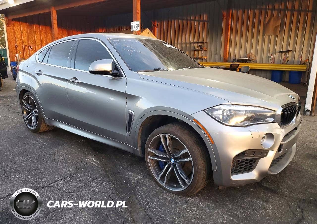 2017 BMW X6 M VIN:5YMKW8C59H0R43925 - 4