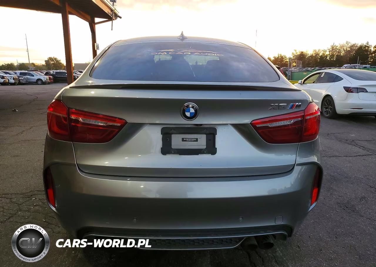 2017 BMW X6 M VIN:5YMKW8C59H0R43925 - 6