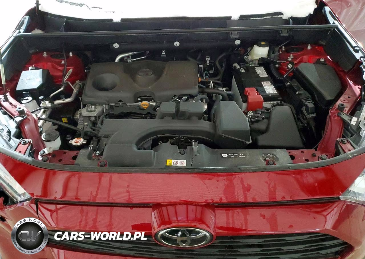 2025 Toyota Rav4 Xle VIN:2T3P1RFV5SW510927 - 12