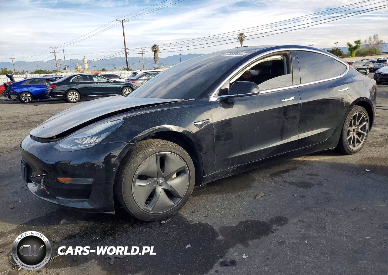 2019 Tesla Model 3