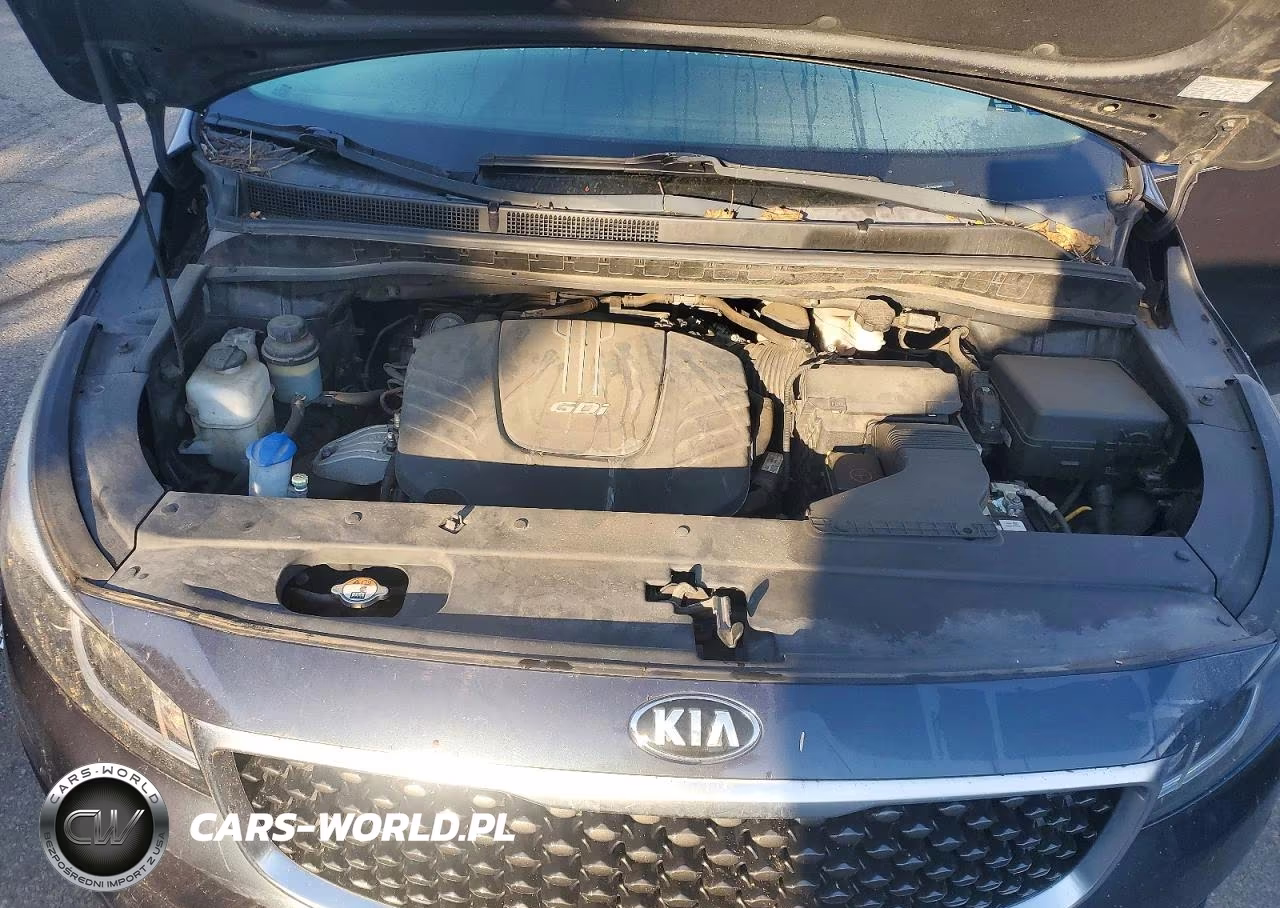 2017 Kia Sedona Lx VIN:KNDMB5C13H6233618 - 12