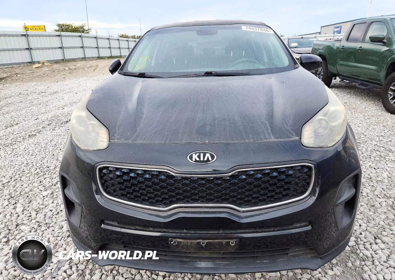 2017 Kia Sportage Lx VIN:KNDPM3AC5H7118206 - 5