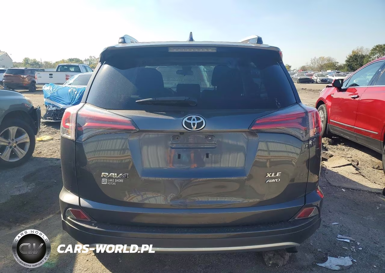 2017 Toyota Rav4 Xle VIN:JTMRFREV6HJ148125 - 6
