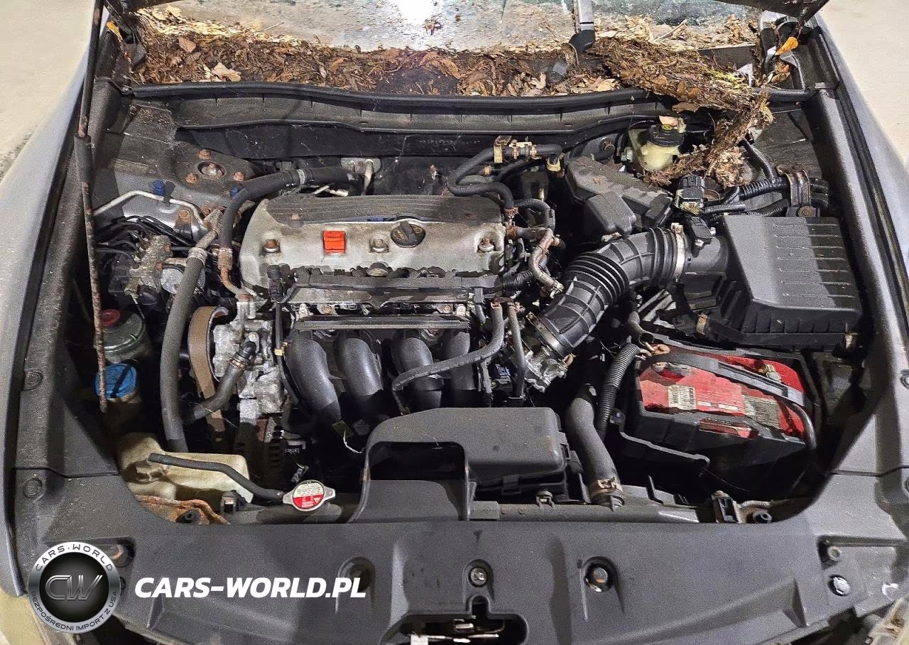 2011 Honda Accord VIN:1HGCP2F6XBA144167 - 11
