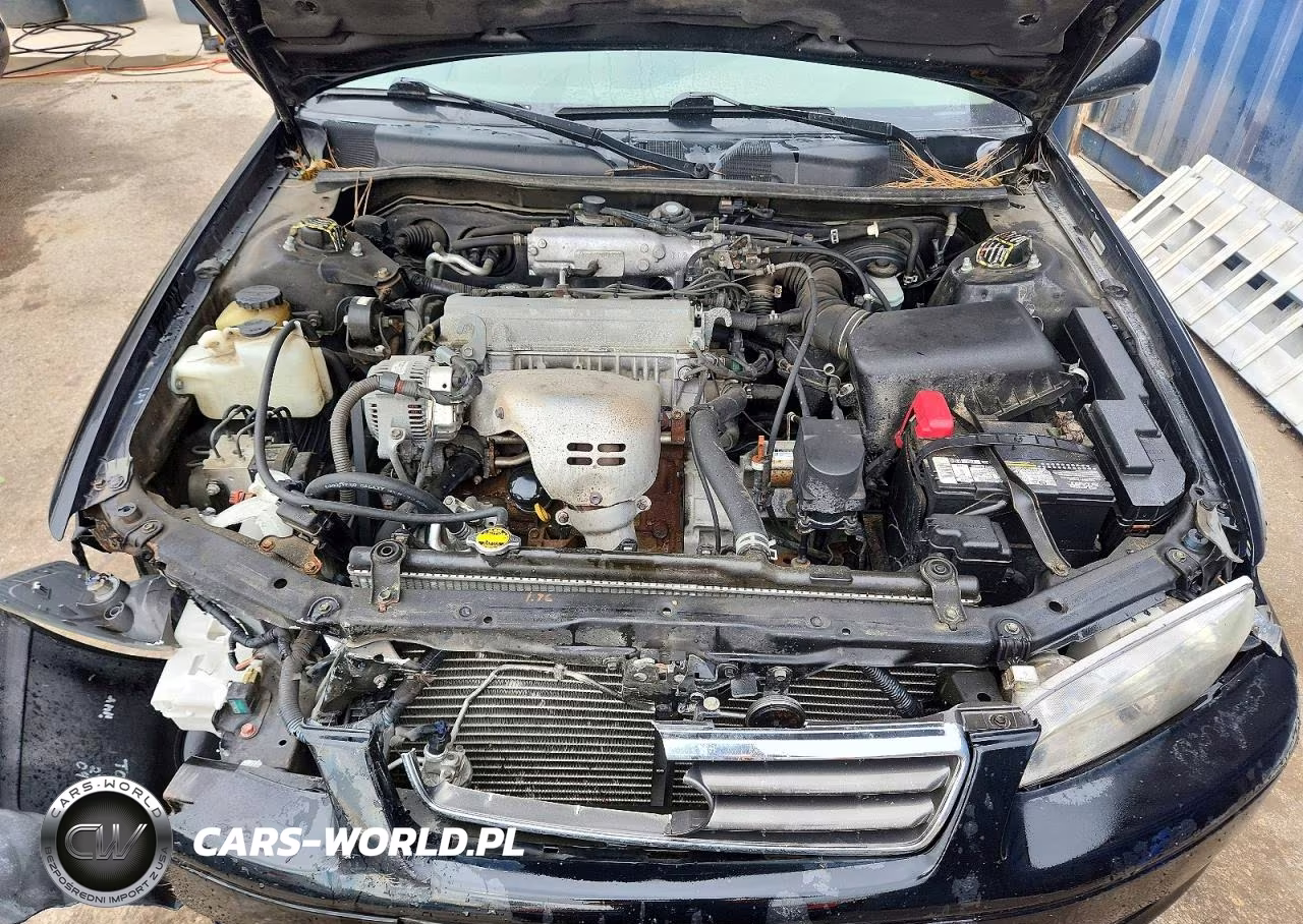 2000 Toyota Camry Le VIN:4T1BG22K1YU743703 - 11