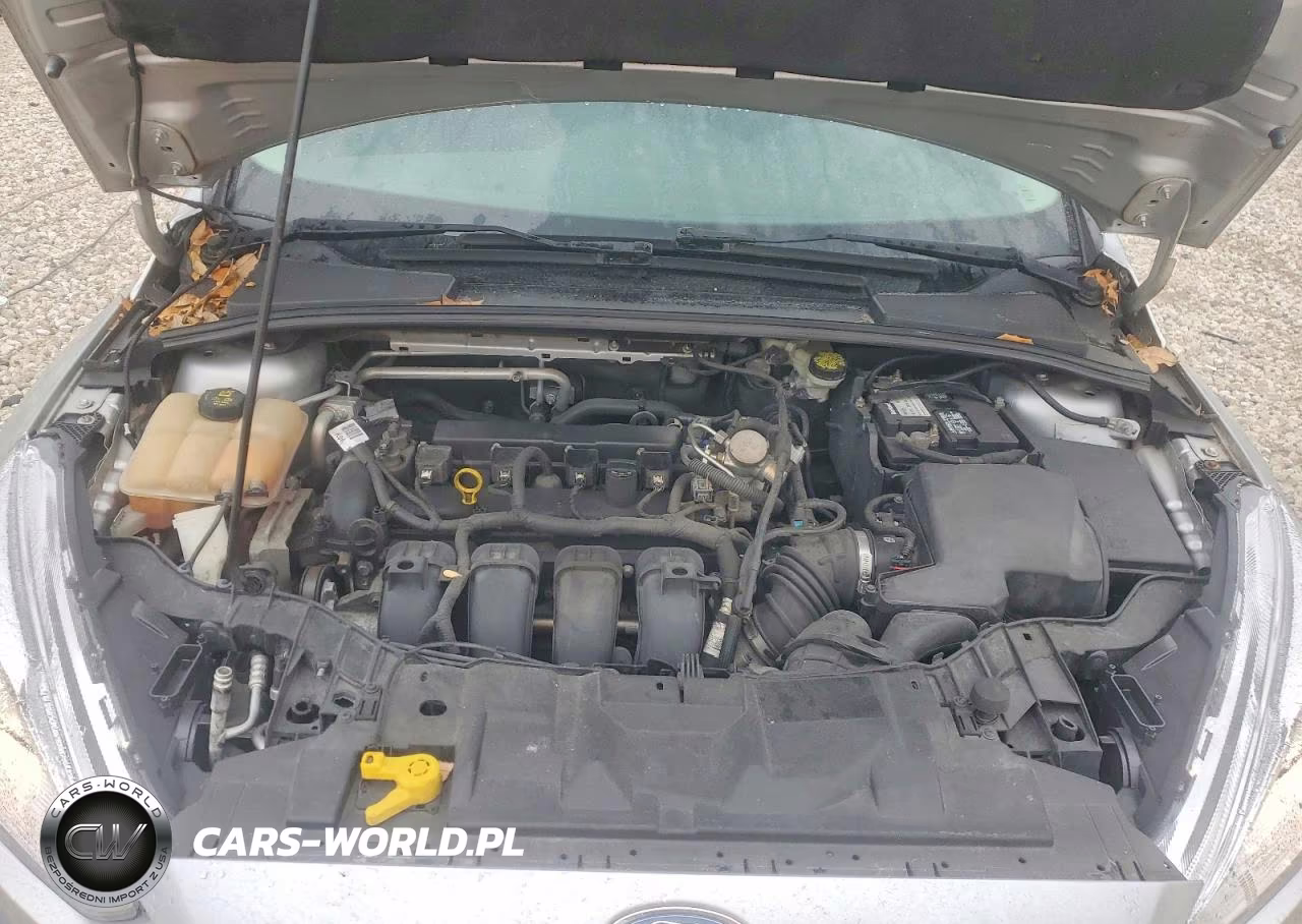 2016 Ford Focus Se VIN:1FADP3K21GL345078 - 11