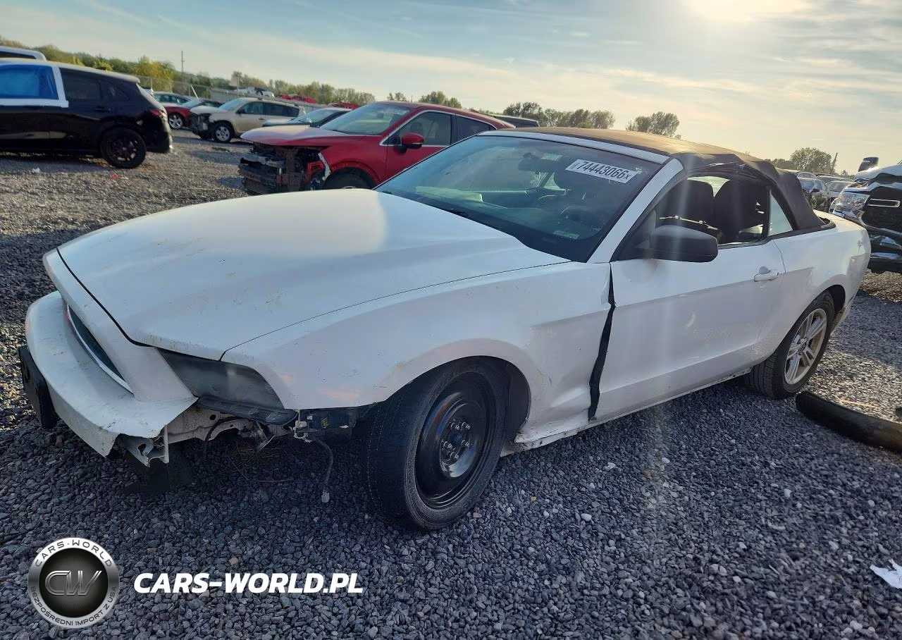 2013 Ford Mustang VIN:1ZVBP8EM1D5229985 - 1