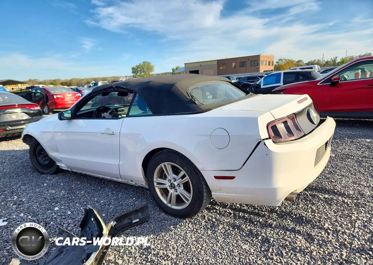 2013 Ford Mustang VIN:1ZVBP8EM1D5229985 - 2