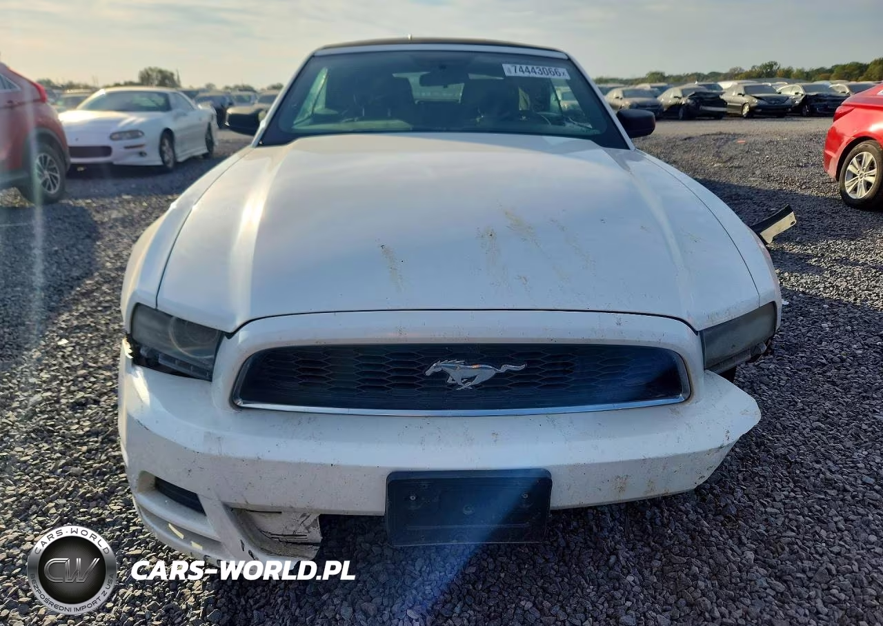 2013 Ford Mustang VIN:1ZVBP8EM1D5229985 - 5