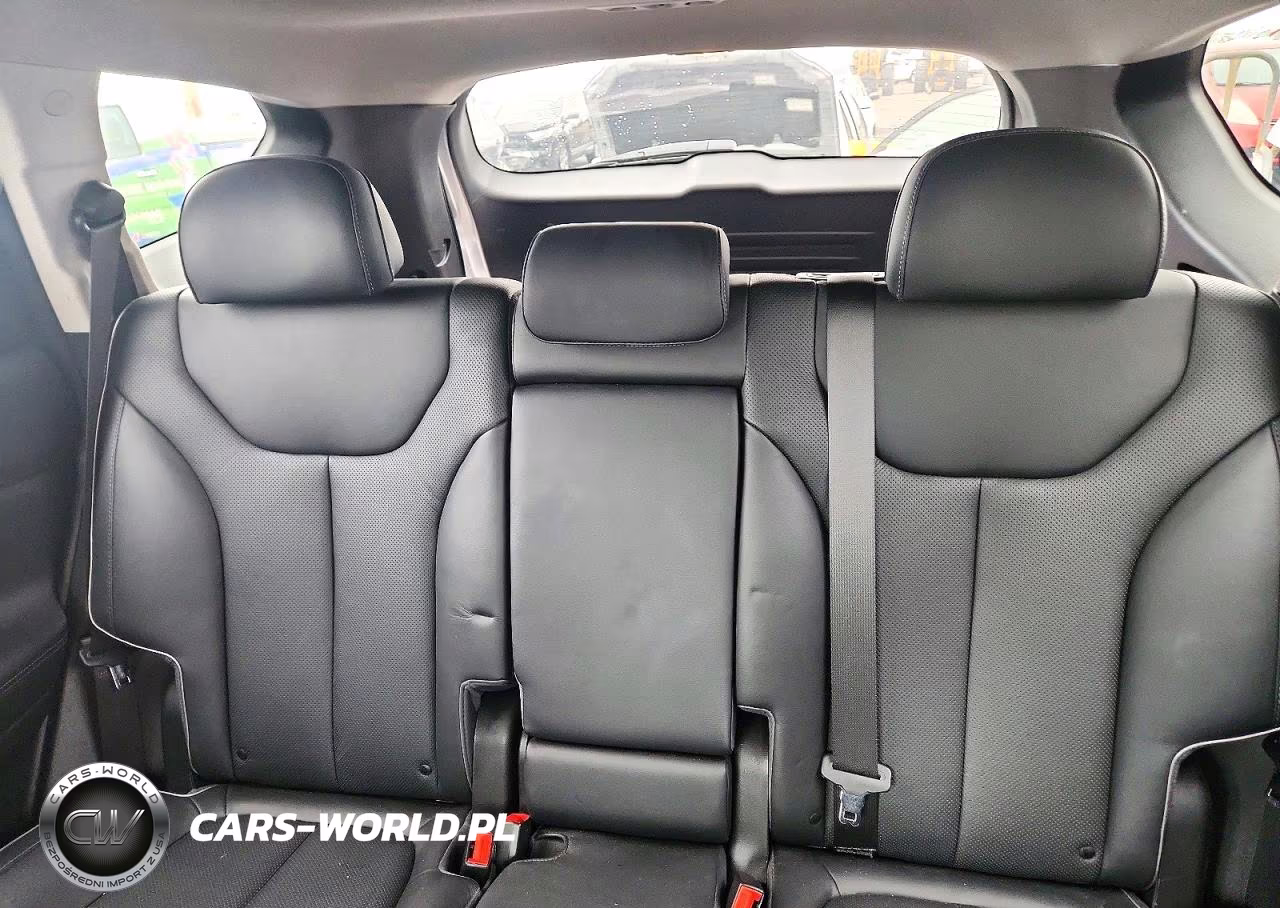 2023 Hyundai Santa Fe Limited VIN:5NMS5DA17PH002413 - 10