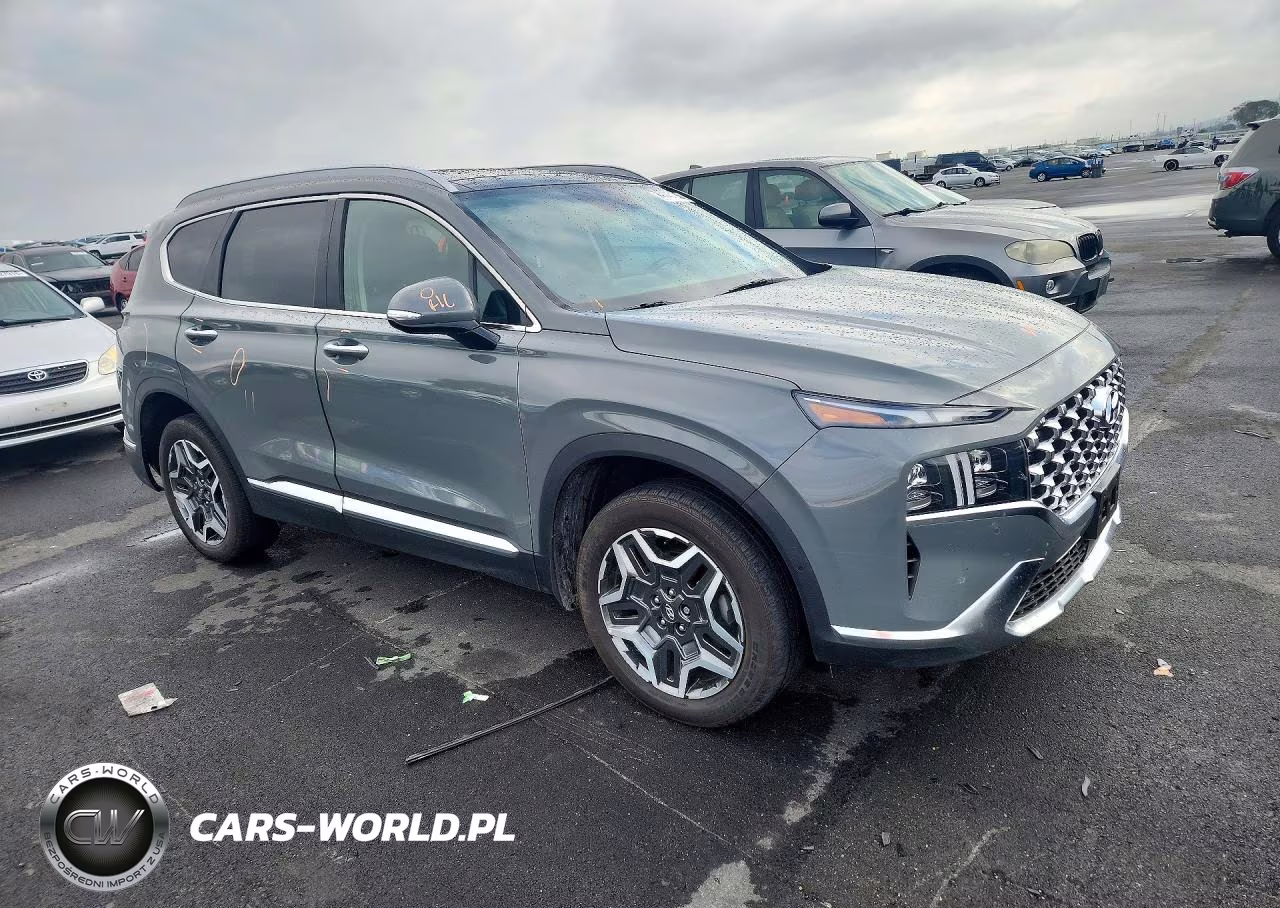 2023 Hyundai Santa Fe Limited VIN:5NMS5DA17PH002413 - 4